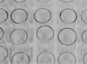 
                Laurastar DMS eliminates 99.99% of viruses, bacteria and dust mites, tested by laboratories
                