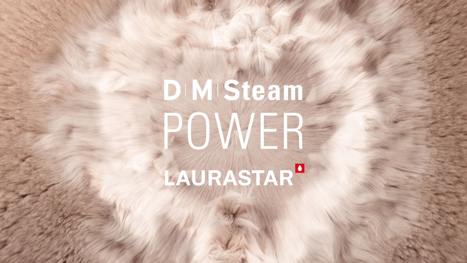 
                Laurastar powerful DMS deeply penetrates delicate materials
                