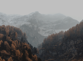 
                Swiss Forest - Laurastar is committed to combatting planned obsolescence with sustainable and repairable products.
                