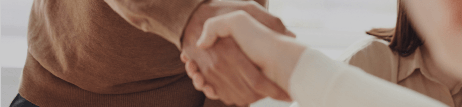 
                    Two partners working with Laurastar shake hands
                    
